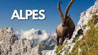 Alpes: Quem Governa o Topo