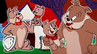 Tom und Jerry: Spike & Tyke