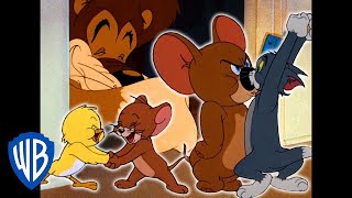 Tom und Jerry: Kleiner Ärger