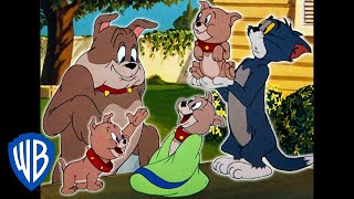 Tom und Jerry: Tyke