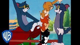 Tom und Jerry: Klassischer Cartoon