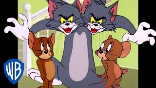 Tom und Jerry: Kumpels