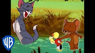 Tom und Jerry: Familie