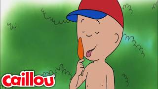 Caillou trotzt der Hitze