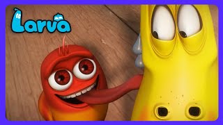 Larva: Blumen-Püpse Paradies