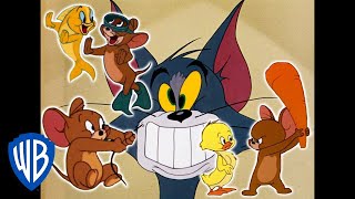 Tom und Jerry: Jerry rettet Tag