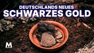 Trüffelanbau Deutschland