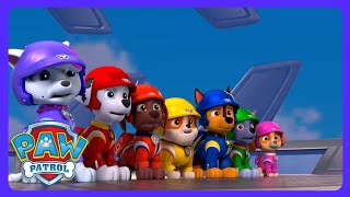 PAW Patrol: Sauvetage grande tour