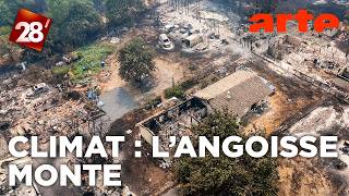 Incendies : santé mentale