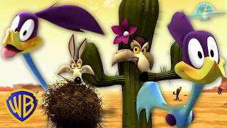 Looney Tunes: Enfrentamiento ACME