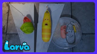 Valle Encantado: Spike Atrapado