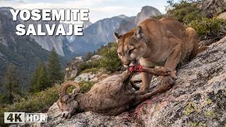 Yosemite Salvaje