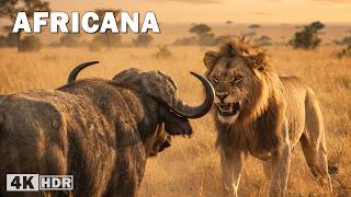 Sabana Africana