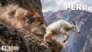 Perú Salvaje