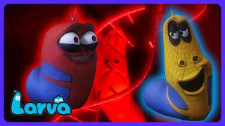 Larva: Spider Special