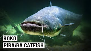 Hunting Goliath River Monsters