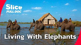 Vietnam's Mnongs and Elephants