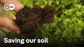 Farmers Protecting Soil and Food Security