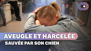 Chiens guides pour malvoyants
