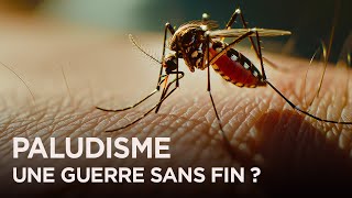 Guerre contre le paludisme