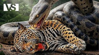 Jungle du Chiapas