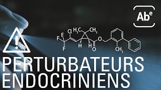 Perturbateurs endocriniens chez enfants