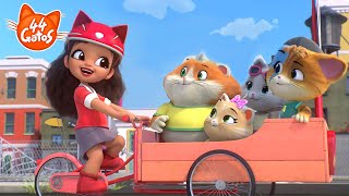 44 Gatos: Vehículos gatásticos