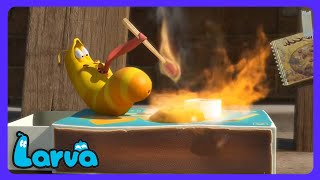 Larva: Duelo galletas