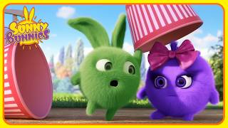 Hopper quiere palomitas - Sunny Bunnies