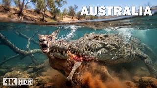 Australia salvaje: tierra hostil