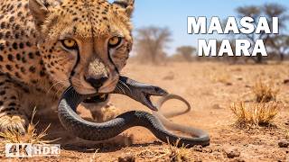 Maasai Mara: cazadores de África