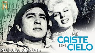 Me Caíste Del Cielo
