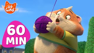 44 Gatos: Diversión parque