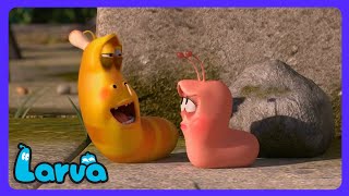Larva: Venganza de Yellow