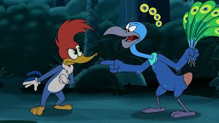 El Pájaro Loco: La pluma perfecta