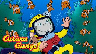 Curious George: Look at Fish