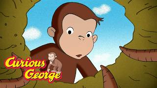 Curious George: Animals in Dirt