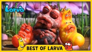 Larva: Best of 2017