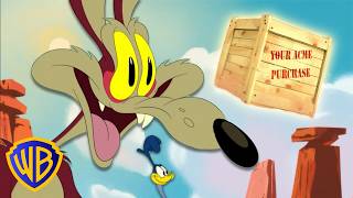 Coyote vs. ACME