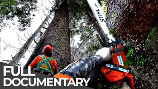 World's Most Dangerous Jobs