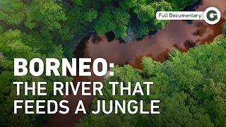 Kinabatangan: Saving Biodiversity