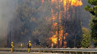 Extreme Wildfires