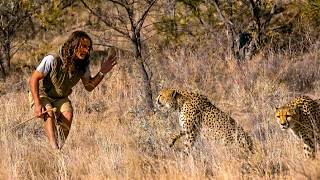Namibia: Last Wild Animals