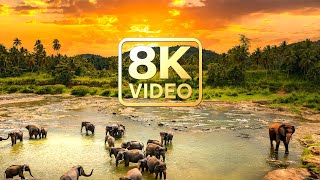 Places to Visit 8K