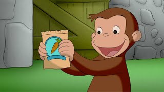 Curioso George: Coltivatore di carote