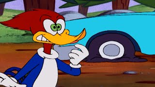 Pica-Pau: Problemas com o Carro