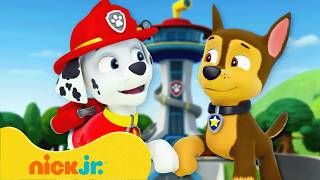 Patrulha Canina: 1 Hora de Amizade