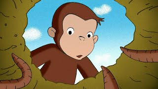 George, o Curioso: Animais na Terra