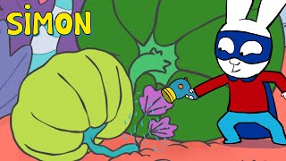 Simon: Sabor da Abóbora