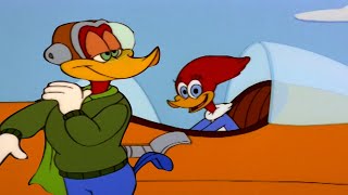 Pica-Pau: Winnie Piloto